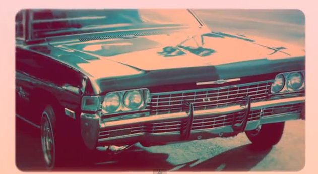 BURGANDY WHIP