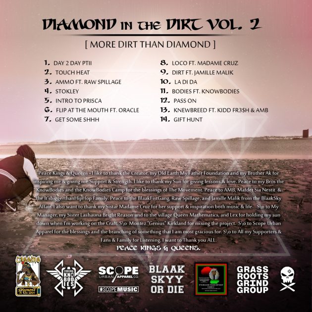 DD Vol 2 - back